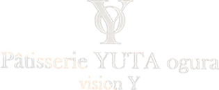 株式会社vision Y